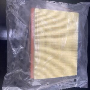 Alternative view of OEM Aprilia Air Filter